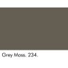 Grey Moss